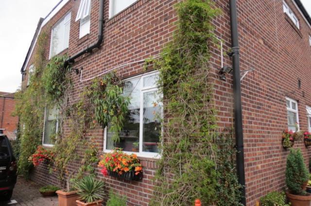 Hunters Lodge Guest House Southampton Kültér fotó